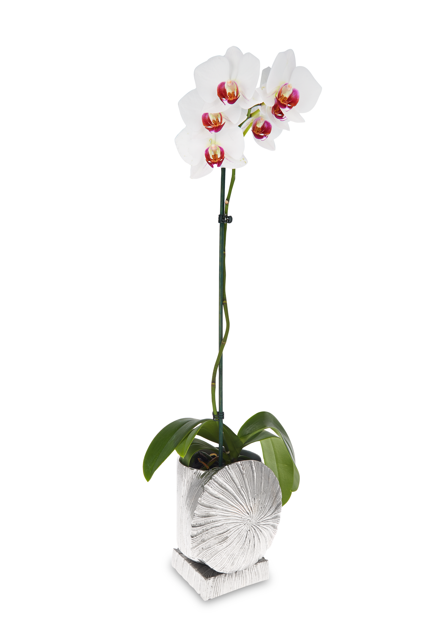 Embossed metal plant pot holder detail with pattern